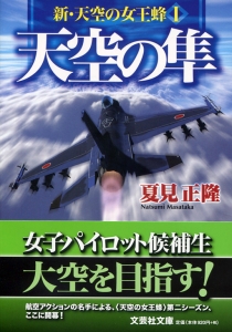 【文庫】天空の隼 新・天空の女王蜂 I