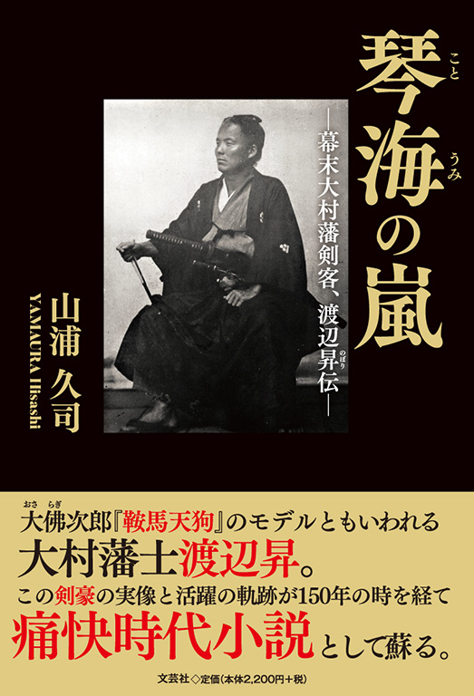 書籍詳細：琴海の嵐 | 書籍案内 | 文芸社